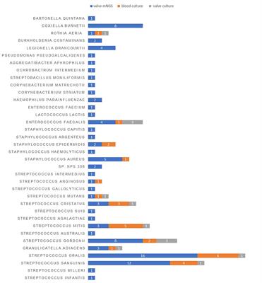 Application of Metagenomic Next-Generation Sequencing in the Etiological Diagnosis of Infective Endocarditis During the Perioperative Period of Cardiac Surgery: A Prospective Cohort Study